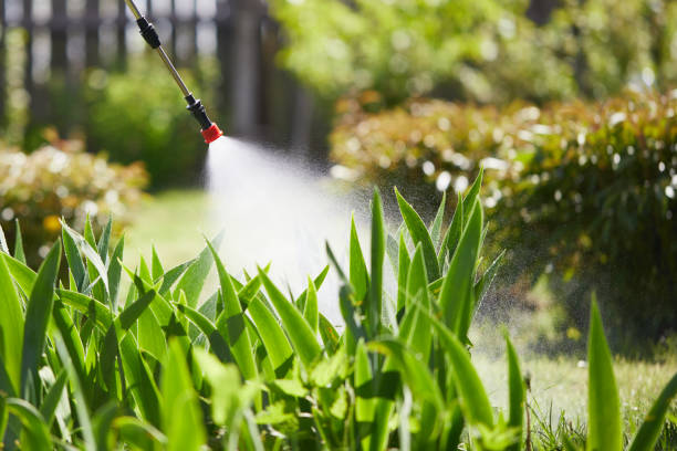 24/7 Emergency Ant Control experts in Oak Ridge, TN