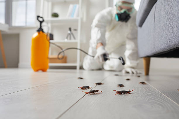 Trusted Termite Control service in Oak Ridge, TN - Nex Pest Control